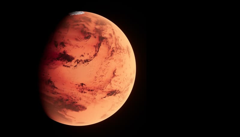 Set tones de brossa humanes són les que acumula Mart