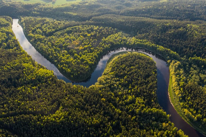 El Amazonas representa la mitad de la selva tropical que queda en el mundo.