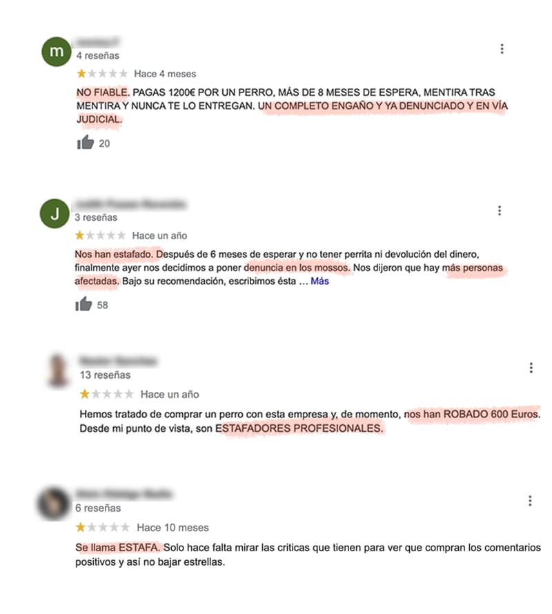 Fotomontaje de los comentarios encontrados en las reseñas de Google | Principal