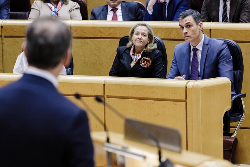 El líder del PP, Alberto Núñez Feijóo, comparece en un pleno del Senado ante la atenta mirada del presidente del gobierno Pedro Sánchez