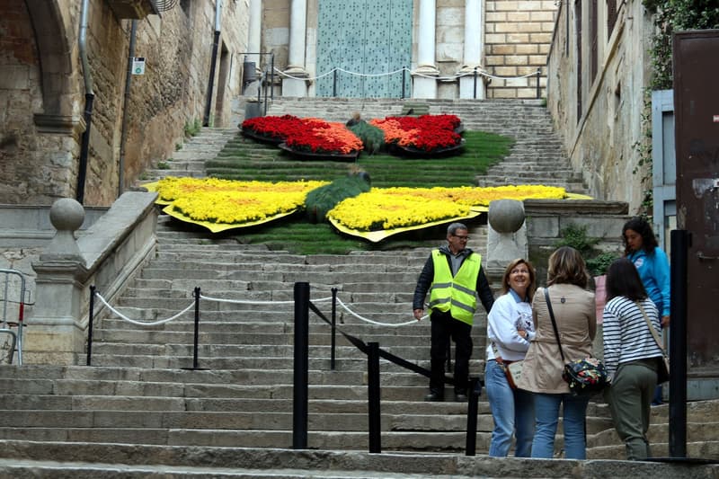 Exposició floral a les escales de Sant Martí de Girona | Xavier Pi / ACN