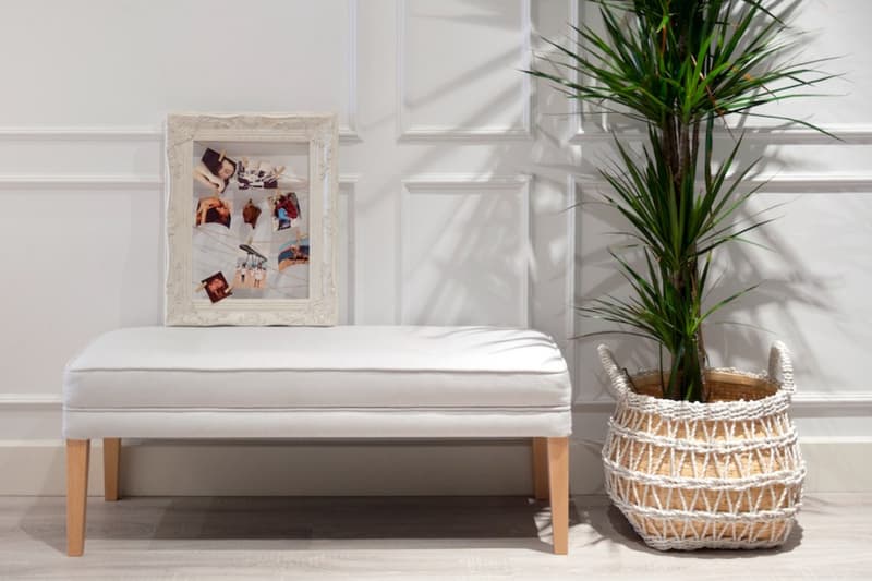 Imagen del recibidor de la Dulceida, con un banco para sentarse y una planta | Kenay Home