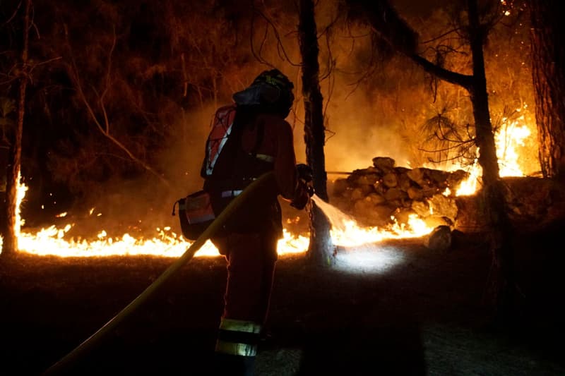 Membres de la Unitat militar d'emergències (UME) treballen en tasques d'extinció de l'incendi forestal de l'illa de Tenerife