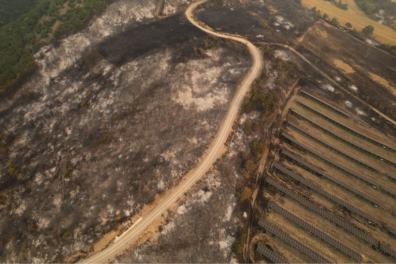 Una fotografia aèria presa amb un dron mostra arbres cremats al poble d'Avra  | EFE/EPA/ACHILEAS CHIRAS