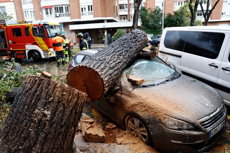 Actuació dels Bombers en un arbre caigut a sobre d'un cotxe a Madrid | EFE