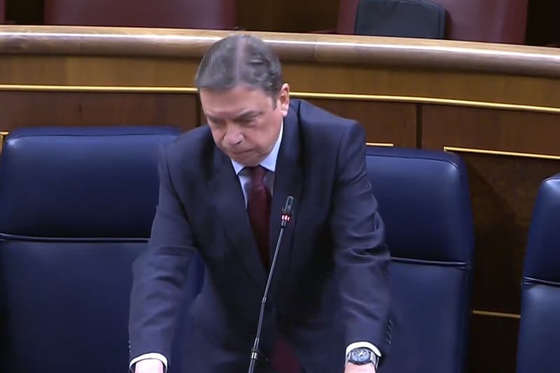 El ministro Luis Planas en el Congreso