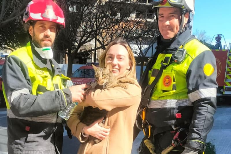 El gato rescatado en el edificio incendiado en Valencia
