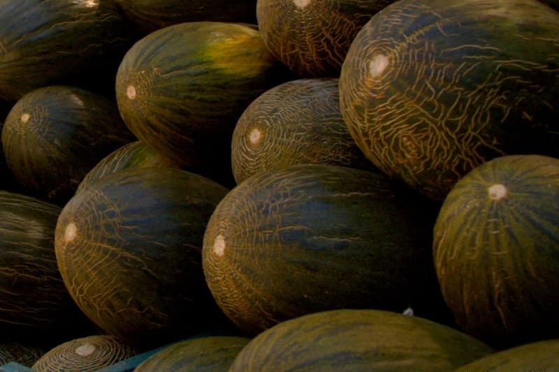 Alerta alimentaria por unos melones procedentes de Marruecos