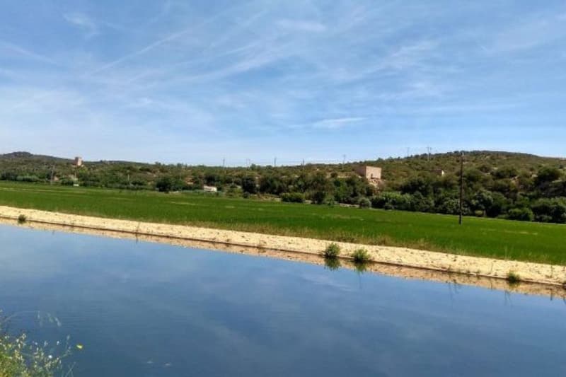 El riu Ebre, a l'altura de Tortosa
